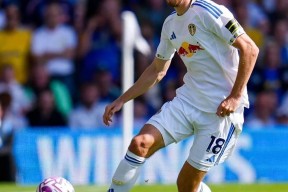 爱游戏体育官方 -国际比赛日洛杉矶快船备战英超，迎来里程碑细节曝光，气氛紧张，数据趋势出现新变化的简单介绍